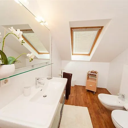 Apartment Maslina Veliki