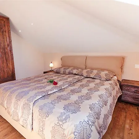 Maslina Veliki Crikvenica